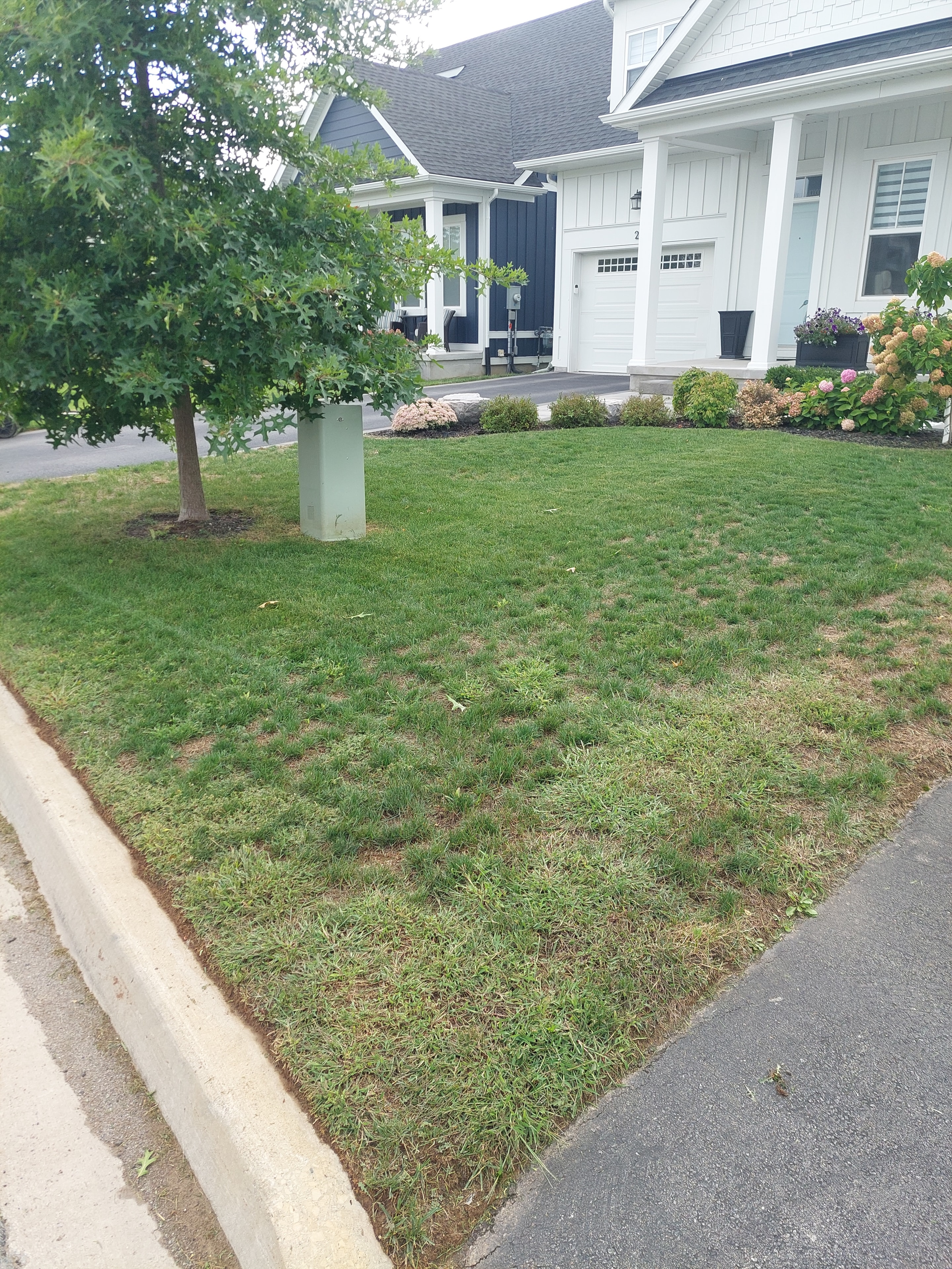 Sean property — 